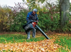 Souffleur Thermique 4 En 1 LBH2600P SCHEPPACH - 5911104903 -Electro Tool Soldes sche0270 4